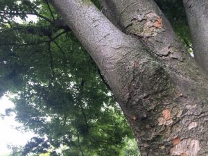 美容室開業が、誰かに迷惑がかかることのない、安心の場所でもありたいですね。